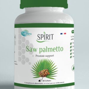 Spirit Saw Palmetto